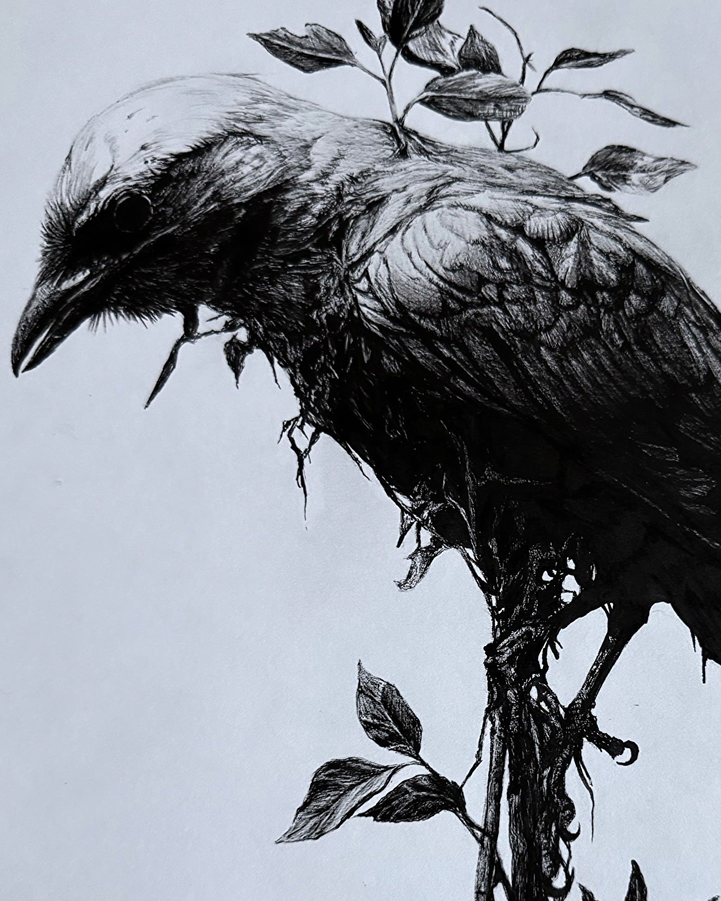 7 Deadly Sins - SLOTH (Sedulous) Print