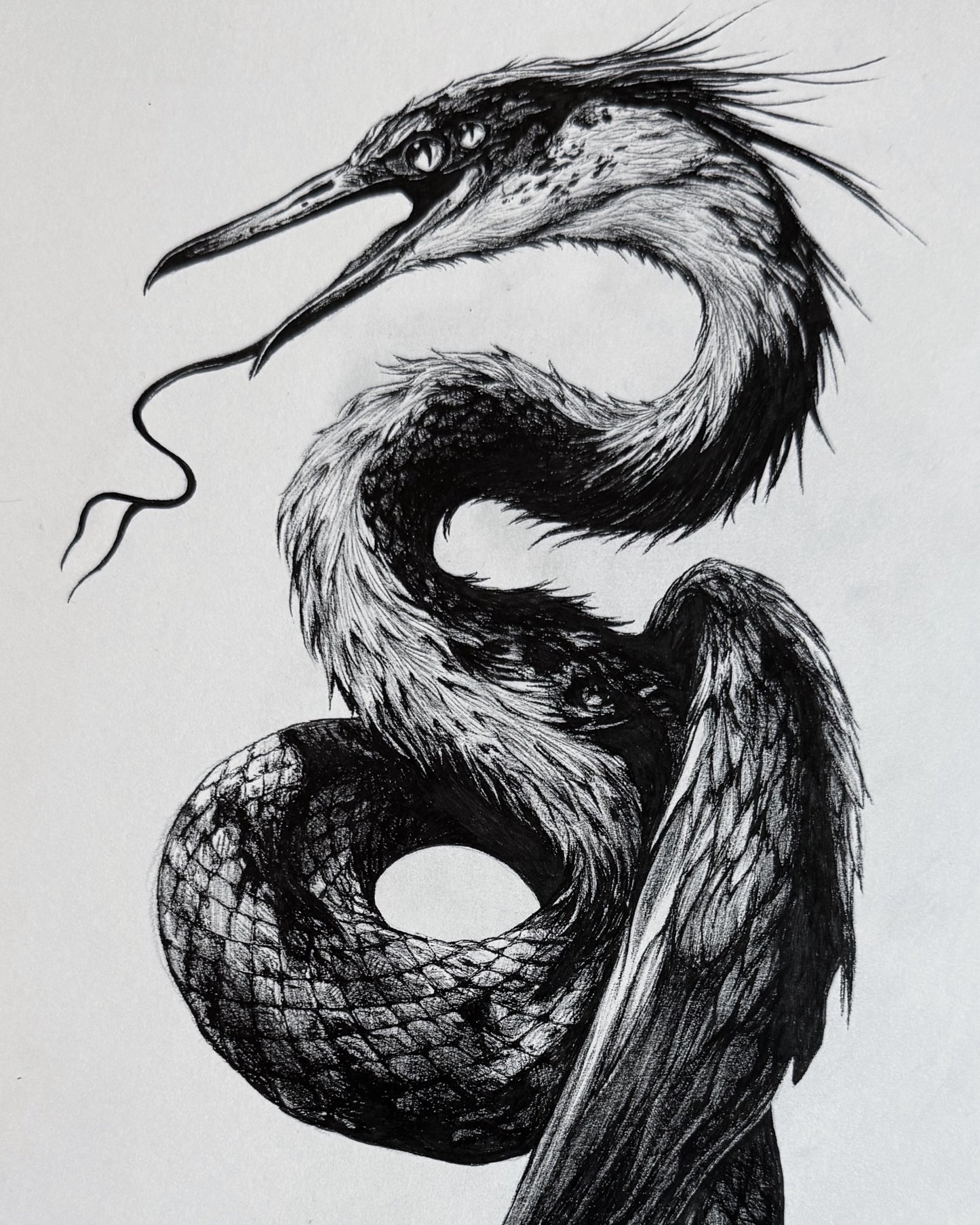 7 Deadly Sins - ENVY (Admire) Print